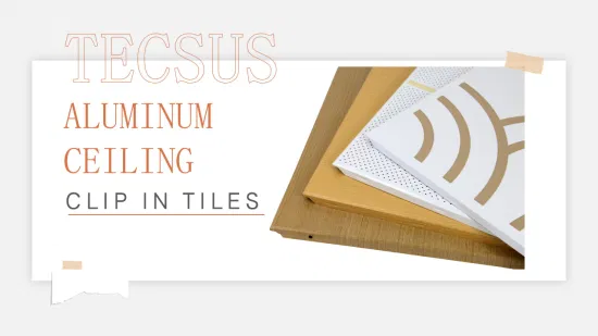Plafond en aluminium insonorisé de prix d'usine pour la décoration de bureau avec CE (TECSUS